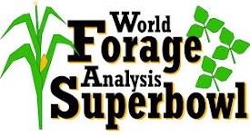 WorldForage150x275